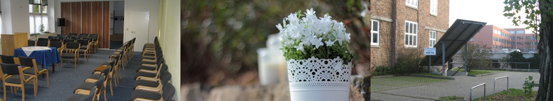banner wo n
